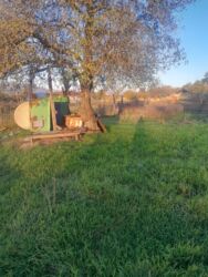 недвижимость в баку купить: 17 sot, Kupça (Çıxarış)