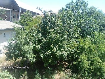 Həyət evləri və villaların satışı: 8 otaq, 400 kv. m, Orta təmir — 19