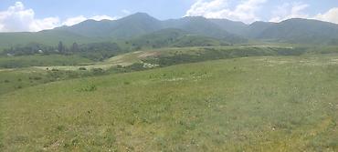 бает село: 428 соток, Для сельского хозяйства, Договор купли-продажи — 8