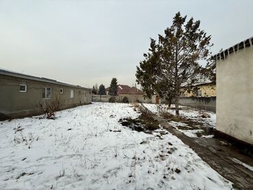 Продажа участков: 8 соток, Для строительства, Красная книга, Тех паспорт, Договор купли-продажи — 3