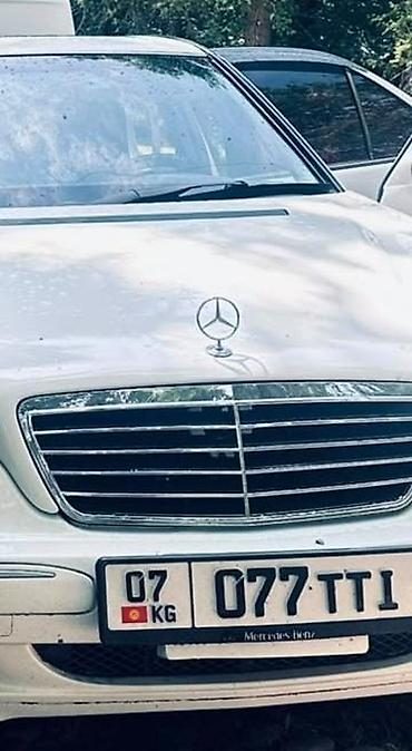 e klass: Mercedes-Benz AMG GT: 2001 г., 3.2 л, Автомат, Бензин, Седан — 2