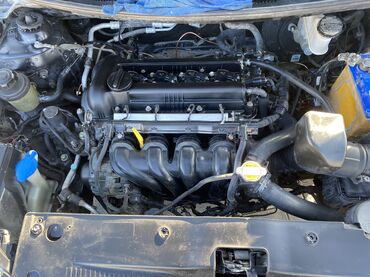 Kia: Kia Rio: 2013 г., 1.6 л, Механика, Бензин — 8