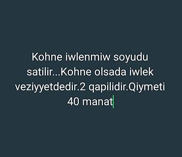 İşlək vəziyyətdə olan köhnə soyuducu satılır. İki qapılı modeldir
