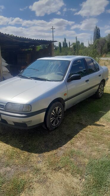 авто рынак бишкек: Nissan Primera: 1993 г., 2 л, Механика, Бензин, Седан