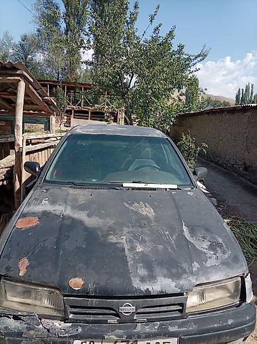 бампер на приус 30: Nissan Primera: 1993 г., Седан — 3