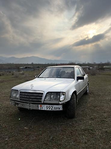 Mercedes-Benz: Mercedes-Benz E-Class: 1994 г., 2 л, Механика, Дизель, Седан — 4