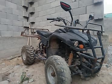 cfmoto купить: Квадроцикл Бензин, 140 куб. см, Взрослый — 2