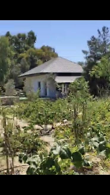 Bağ evlərinin satışı: Nardaran. Sea Breezele uz-beuz 44 sot, 6 dene ev (ayrica), 11 otag — 5