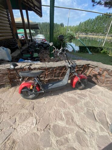 скутера в бишкеке: Электроскутер Citycoco (стиль «чоппер») с широкими колесами