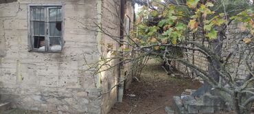 Bağ evlərinin satışı: Bağ sahəsi və köhnə tikili - Geniş, yaşıllıqla əhatələnmiş bağ — 9