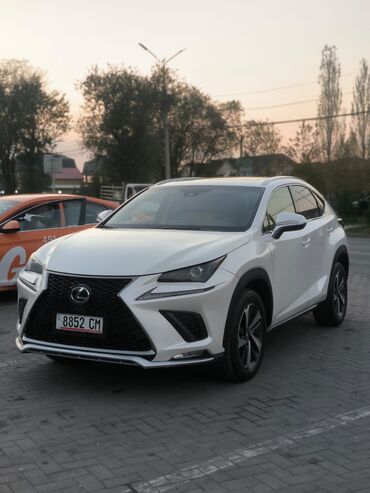 субару форестер 2018: Lexus NX: 2018 г., 2 л, Автомат, Бензин, Кроссовер