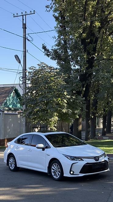 скубка авто: Toyota Corolla: 2019 г., 1.8 л, Гибрид, Седан — 2