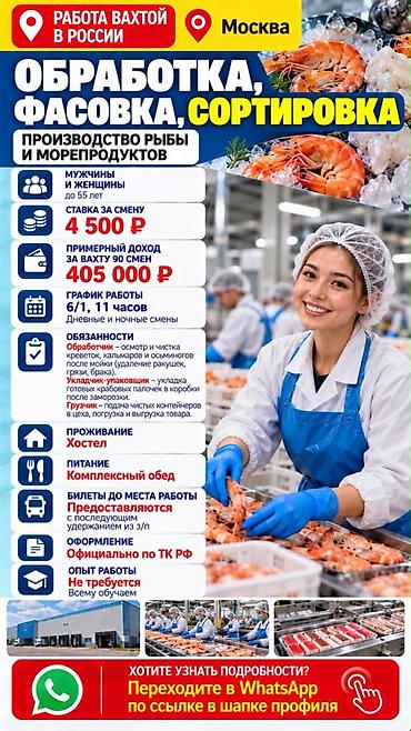 работа оаэ: Кладовщик — 5