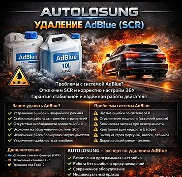 Автоуслуги: Удаление AdBlue (SCR) и сажевого фильтра DPF + профессиональная — 1
