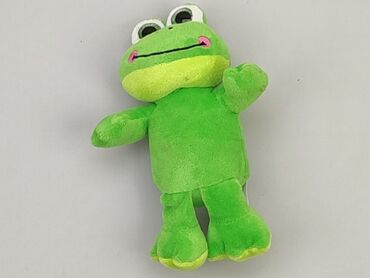 czapka kiss the frog: М'яка іграшка Жаба, стан - Задовільний