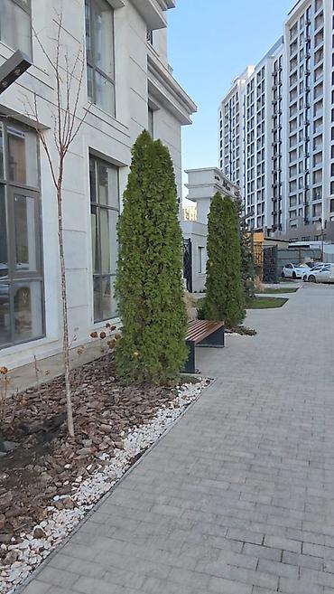 Продажа квартир: 1 комната, 47 м², Элитка, 4 этаж, Евроремонт — 9