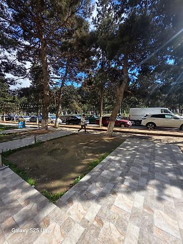 minon yumşaq oyuncaqlar: Icareye verilir 600 bu abyekt qalmıyacaq z düz Xırdalan Heydər — 5