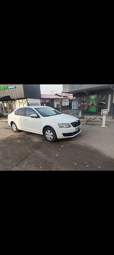 Skoda: Skoda Octavia: 2015 г., 1.6 л, Автомат, Бензин, Седан — 3