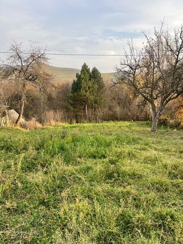 Torpaq sahələrinin satışı: 20 sot, Kupça (Çıxarış) — 9