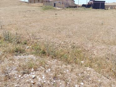 Torpaq sahələrinin satışı: 8 sot, Tikinti, Kupça (Çıxarış)