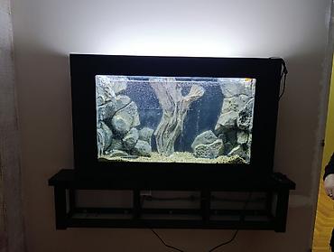 Aquariums: Izrada akvarijuma po narudzbini,akvarijume radimo svih dimenzija I — 7