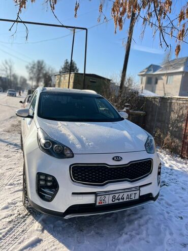 kia sportage 2019: Kia Sportage: 2016 г., 1.7 л, Автомат, Дизель, Внедорожник