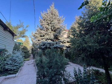 продажа домов в чолпон ате: Дом, 160 м², 8 комнат, Риэлтор, Косметический ремонт