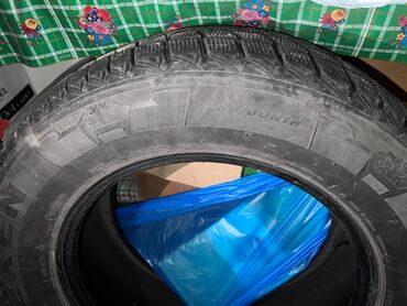 купить шины на мтз 82 задние: Шиналар 265 / 60 / R 18, Кыш, Колдонулган, Комплект, Жол тандабастар (АТ/МТ), Корея, Nexen