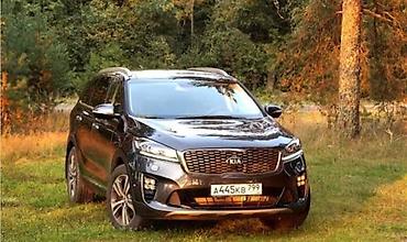 соренто: KIA и Hyundai Профессиональная услуга .чистка форсунок ( топливных — 4