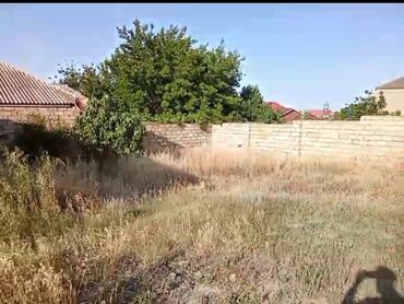 Torpaq sahələrinin satışı: 3 sot, Mülkiyyətçi, Kupça (Çıxarış) — 7