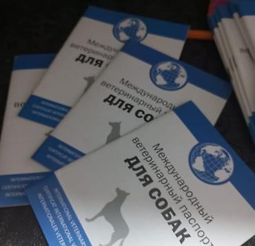 Зоотовары: Ветеринарный паспорт
Baytar heyvan pasportlari — 2