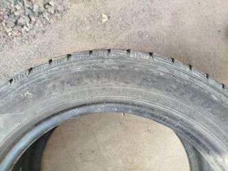 покрышки на муравей: Шиналар 205 / 60 / R 16, Кыш, Комплект, Жеңил унаалар, Dunlop