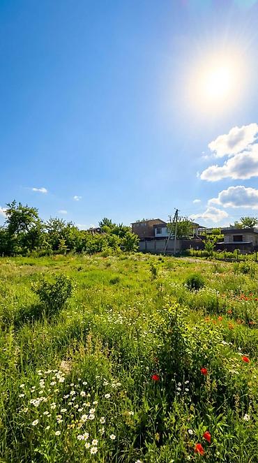 город: 5 соток, Для строительства, Красная книга — 7