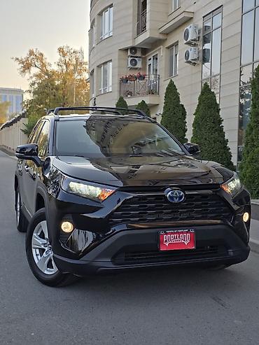 deu labo: Toyota RAV4: 2019 г., 2.5 л, Вариатор, Гибрид, Кроссовер — 1