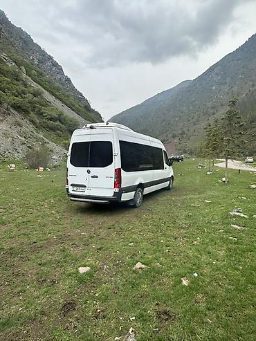 w210 e320: Пункт назначения: Все направления, Количество мест: 17, Лицензия №: Есть — 4