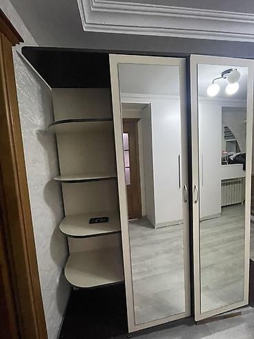 soba borusu: İşlənmiş, 2 qapılı, Güzgülü, Ağ, Kupe, Düz dolab — 2