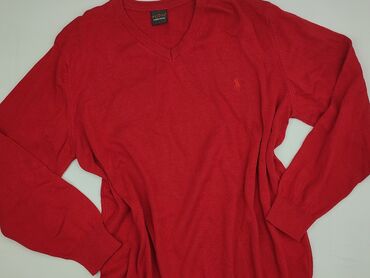 ubrania z jamnikiem: Sweter for men, size L