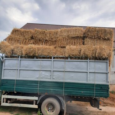 спринтер грузовой продам: Грузовик, Б/у