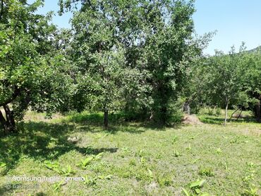 Torpaq sahələrinin satışı: 10 sot, Tikinti, Mülkiyyətçi, Kupça (Çıxarış) -da lalafo.az — 16 Torpaq sahələrinin satışı: 10 sot, Tikinti, Mülkiyyətçi, Kupça (Çıxarış) — 16