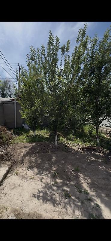 чай хана: 🔥 Дом, который может приносить доход уже с первого месяца! Продаётся — 9