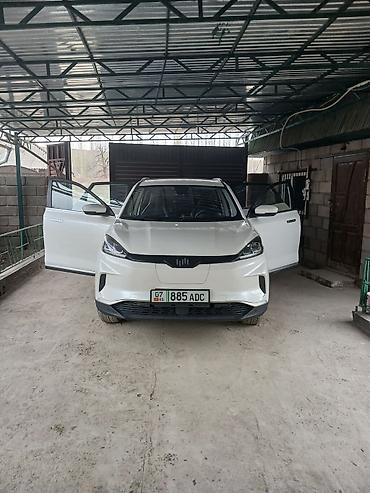 BYD: BYD Destroyer 05: 2021 г., Электромобиль, Кроссовер — 1