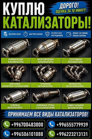3 sfe: Скупка автомобильных катализаторов и сопутствующих элементов. Что — 1