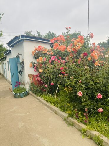 Продажа домов: Дом, 75 м², 6 комнат, Косметический ремонт — 16