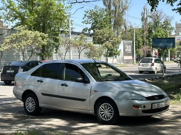 реставрация деревянных дверей: Ford Focus: 2001 г., 1.6 л, Автоматтык, Бензин, Седан