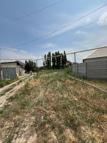 кара чыгач: 8 соток, Кызыл китеп