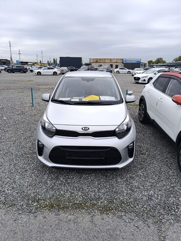 Kia: Kia Morning: 2019 г., 1 л, Автомат, Бензин, Хэтчбэк