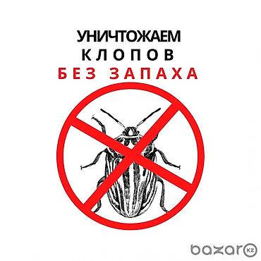 от паразитов: Дезинфекция, дезинсекция, | Тараканы, Блохи, Клопы, | Дома, Квартиры, Кафе, магазины — 2