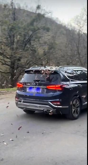 Hyundai: Hyundai Santa Fe: 2 l | 2020 il Krossover — 14