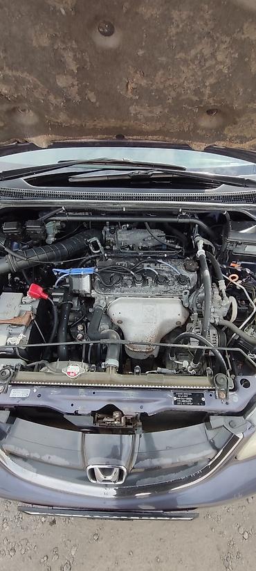 хонда одиссей кузов: Honda Odyssey: 2003 г., 2.3 л, Автомат, Бензин, Универсал — 10