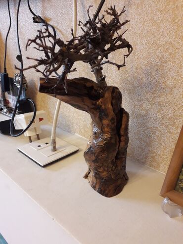 Fiqurlar: Fiqur — 2